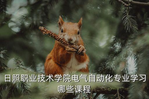 普菲森電氣自動化科技,電氣自動化技術(shù)好學(xué)嗎?專業(yè)挺好的