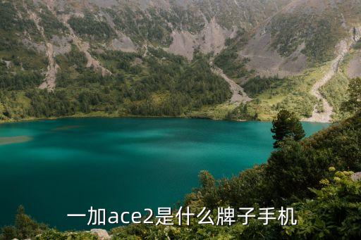  一加ace2是什么牌子手機(jī)