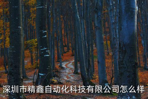 自動化一體繞線設(shè)備,自動化設(shè)備有哪些?