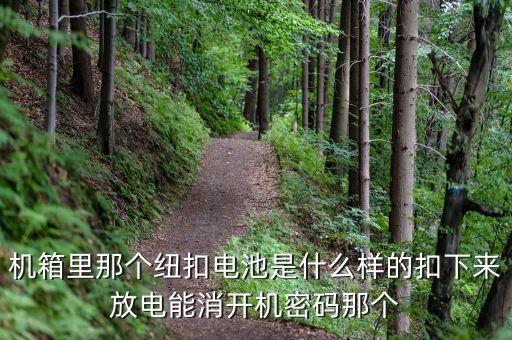 紐扣電池圖片，主板上的紐扣電池在哪