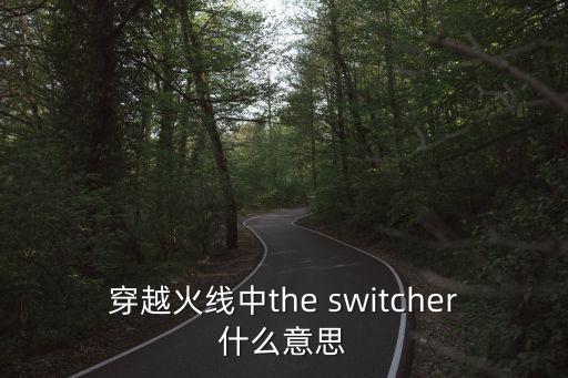switcher，AUXO2 設置里面 access app switcher 是什么意思