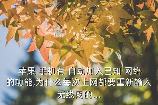 蘋果手機(jī)自動(dòng)連接網(wǎng)絡(luò)