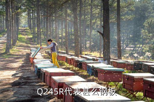Q245R，Q245R代表甚么鋼板
