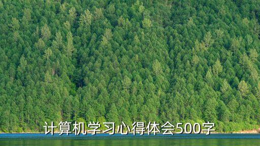 計算機學習心得體會500字
