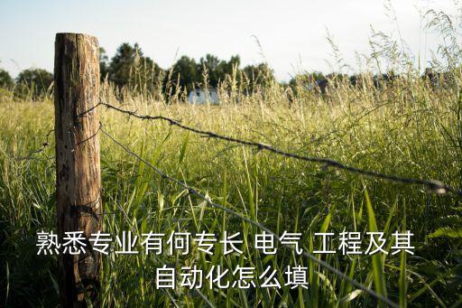 熟悉專業(yè)有何專長 電氣 工程及其 自動化怎么填