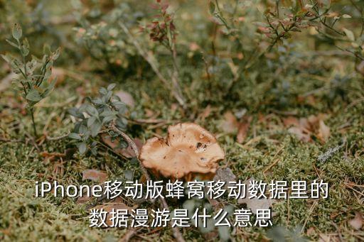 iPhone移動版蜂窩移動數(shù)據(jù)里的數(shù)據(jù)漫游是什么意思