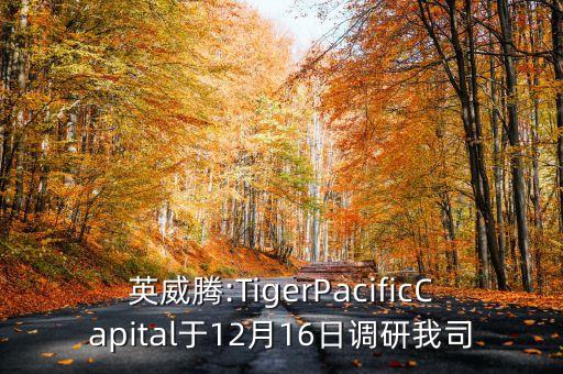 英威騰:TigerPacificCapital于12月16日調(diào)研我司