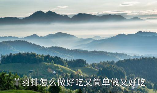  羊羽排怎么做好吃又簡單做又好吃
