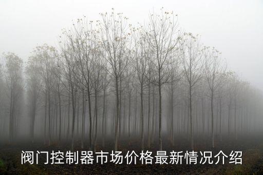 閥門控制器市場價格最新情況介紹