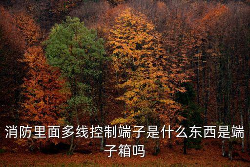 多線控制盤，消防里面多線控制端子是什么東西是端子箱嗎