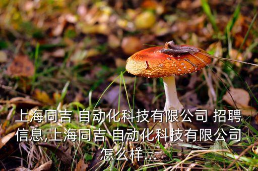 高速自動(dòng)化設(shè)備廠招聘,大浪自動(dòng)化設(shè)備廠臨時(shí)工最新招聘