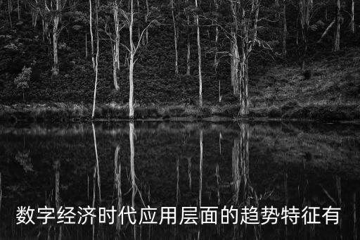 數(shù)字經(jīng)濟(jì)時(shí)代應(yīng)用層面的趨勢(shì)特征有