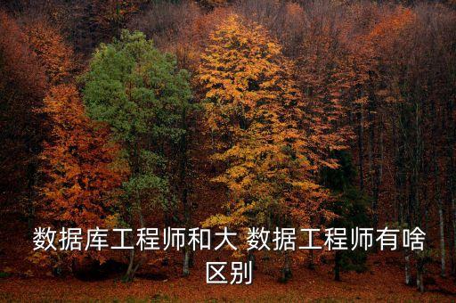  數(shù)據(jù)庫工程師和大 數(shù)據(jù)工程師有啥區(qū)別