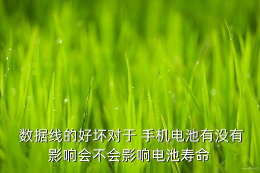  數(shù)據(jù)線的好壞對(duì)于 手機(jī)電池有沒有影響會(huì)不會(huì)影響電池壽命