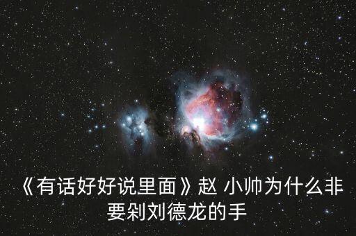 《有話好好說里面》趙 小帥為什么非要剁劉德龍的手