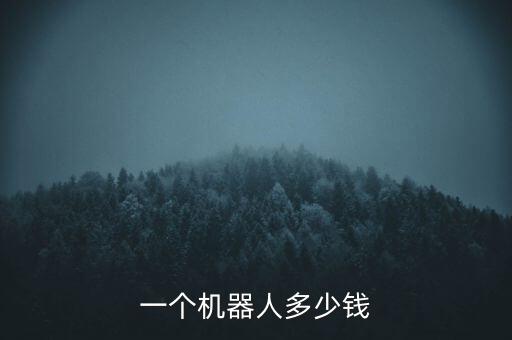 一個(gè)機(jī)器人多少錢