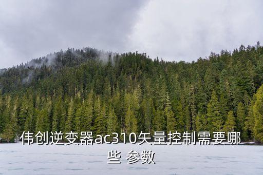 偉創(chuàng)逆變器ac310矢量控制需要哪些 參數(shù)