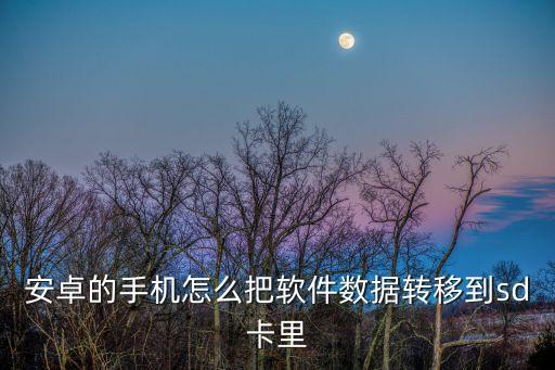 安卓版數(shù)據(jù)席,網(wǎng)頁版和安卓版數(shù)據(jù)不能在一起玩