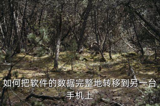 如何把軟件的數(shù)據(jù)完整地轉(zhuǎn)移到另一臺(tái)手機(jī)上