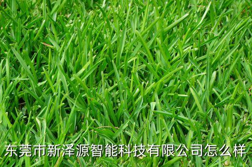 東莞市新澤源智能科技有限公司怎么樣