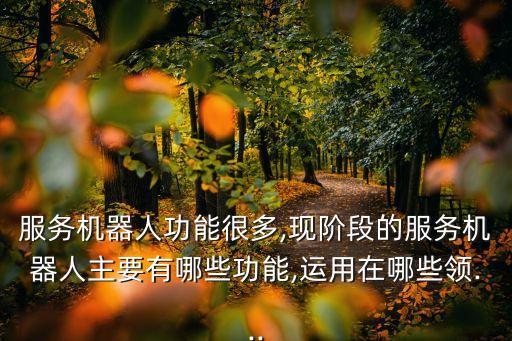 服務(wù)機(jī)器人功能很多,現(xiàn)階段的服務(wù)機(jī)器人主要有哪些功能,運(yùn)用在哪些領(lǐng)...