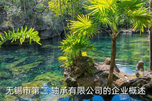 無錫市第二 軸承有限公司的企業(yè)概述