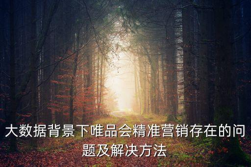 大數(shù)據(jù)背景下唯品會精準營銷存在的問題及解決方法