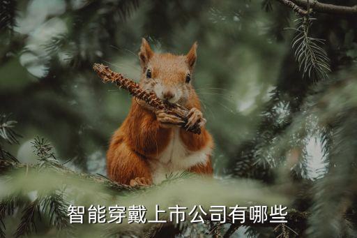 智能穿戴上市公司有哪些