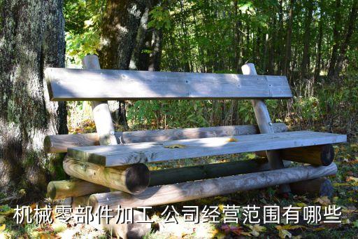 機(jī)械零部件加工 公司經(jīng)營范圍有哪些