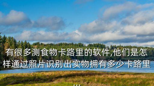 大數(shù)據(jù)食物,大數(shù)據(jù)可能涵蓋哪些領(lǐng)域?