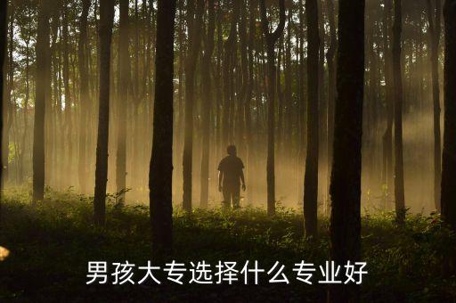 男孩子可以學(xué)電氣自動化嗎