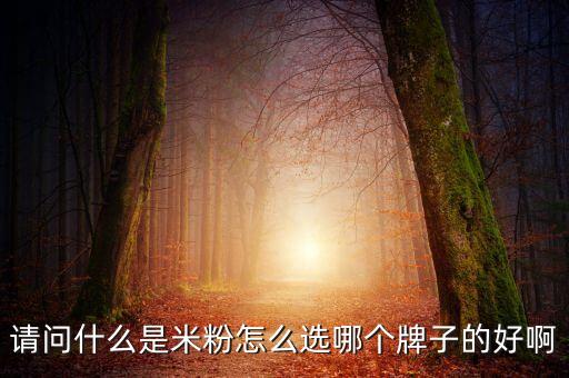 請(qǐng)問(wèn)什么是米粉怎么選哪個(gè)牌子的好啊