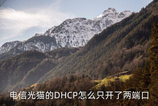 dhcp端口,華為防火墻怎么配dhcp?