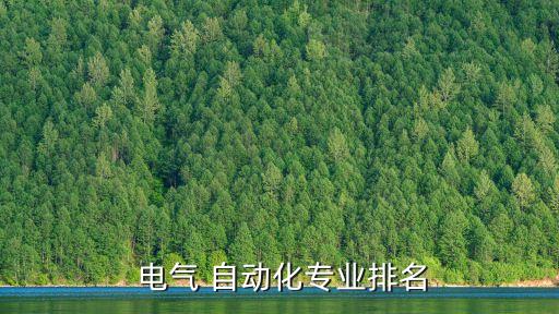  電氣 自動化專業(yè)排名