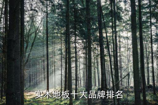 實(shí)木地板十大品牌排名