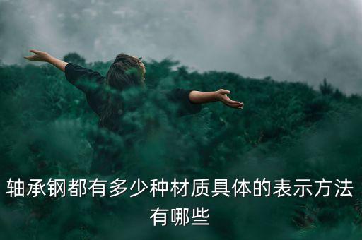 軸承鋼都有多少種材質(zhì)具體的表示方法有哪些