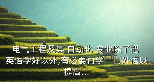 電氣工程及其 自動(dòng)化 專業(yè)除了把 英語學(xué)好以外,有必要再學(xué)一門外語以提高...
