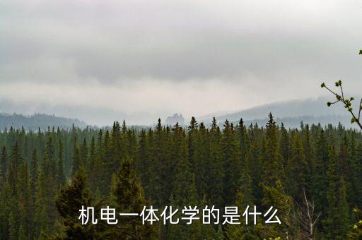 機(jī)電一體化學(xué)的是什么