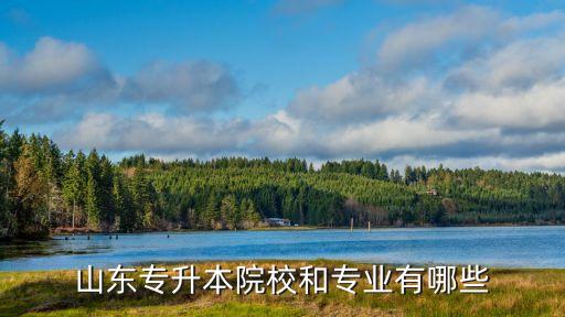 山東專升本院校和專業(yè)有哪些