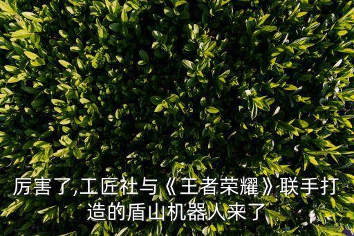 篤行體感機器人,全球首款消費級競技格斗機器人登場