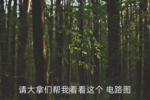 請大拿們幫我看看這個(gè) 電路圖