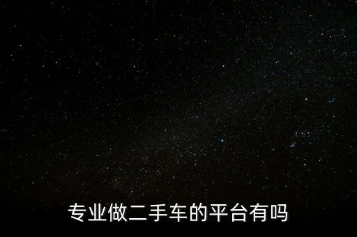 專業(yè)做二手車的平臺有嗎