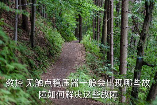 無觸點穩(wěn)壓器,無觸點穩(wěn)壓器怎么做?