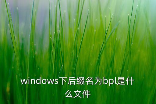 windows下后綴名為bpl是什么文件
