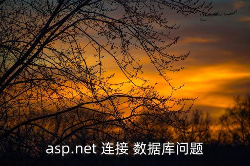 asp.net 連接 數(shù)據(jù)庫問題