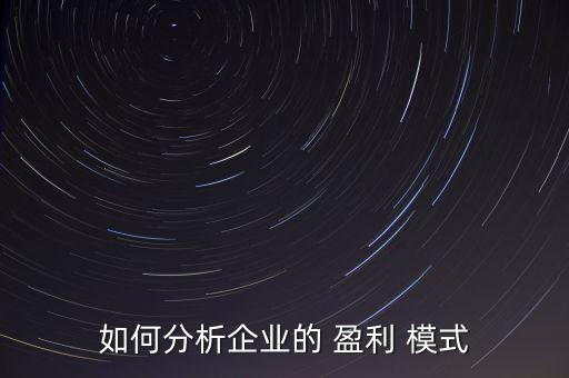 如何分析企業(yè)的 盈利 模式