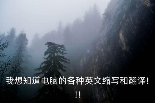 我想知道電腦的各種英文縮寫(xiě)和翻譯!!!