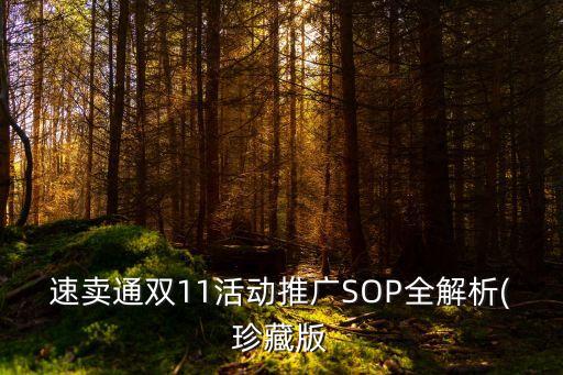 速賣通雙11活動(dòng)推廣SOP全解析(珍藏版
