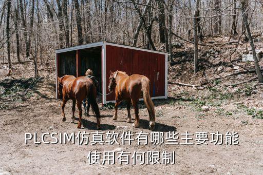 PLCSIM仿真軟件有哪些主要功能使用有何限制
