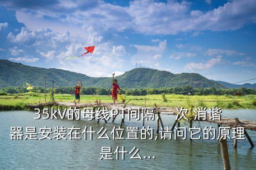 一次消諧器,電壓互感器一次消諧器